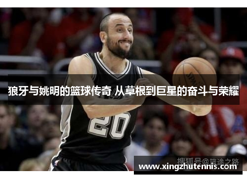 狼牙与姚明的篮球传奇 从草根到巨星的奋斗与荣耀