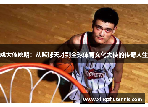 姚大傻姚明：从篮球天才到全球体育文化大使的传奇人生