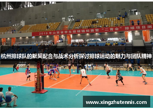 杭州排球队的默契配合与战术分析探讨排球运动的魅力与团队精神