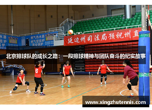 北京排球队的成长之路：一段排球精神与团队奋斗的纪实故事